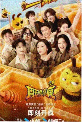 金梅瓶幕后访谈录封面